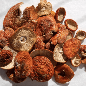 Amanita Muscaria Mushroom