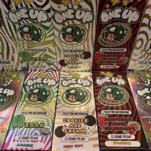 Mushroom chocolate bars