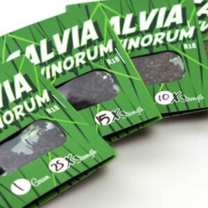 Salvia Divinorum For Sale